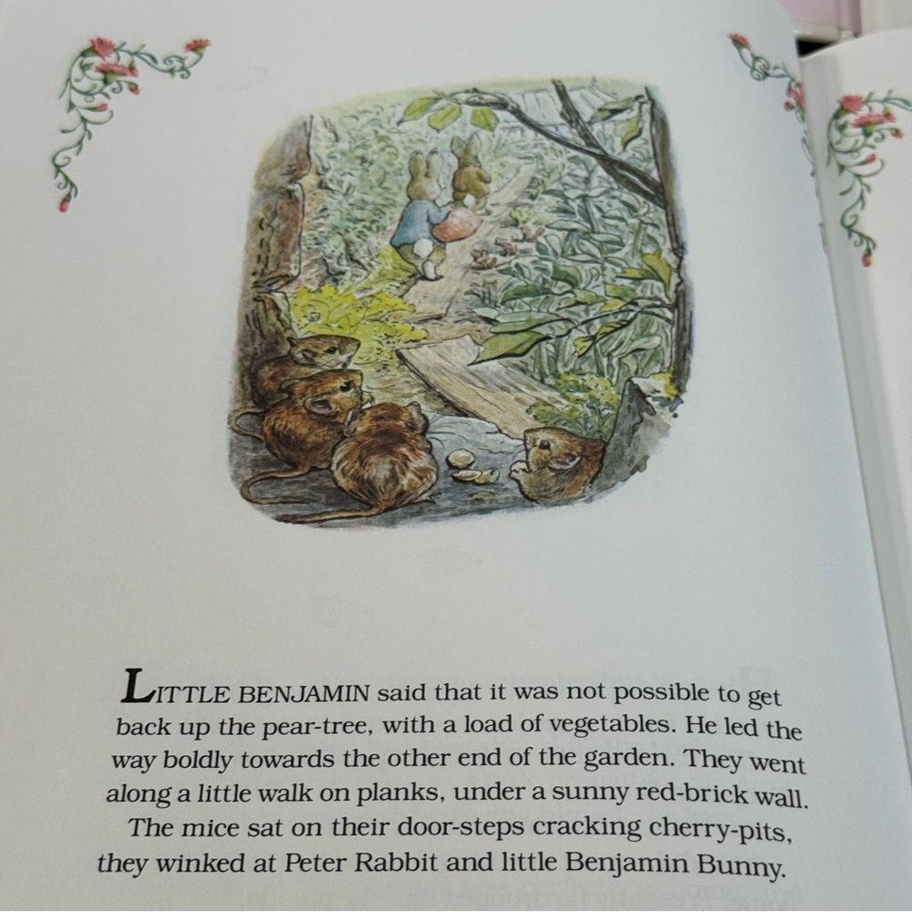The Tale of Benjamin Bunny and Jemima Puddle-Duck Books 1992 - Picture 6 of 10